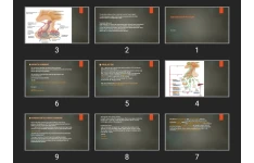 پاورپوینت ANTERIOR PITUITARY