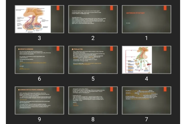 پاورپوینت ANTERIOR PITUITARY
