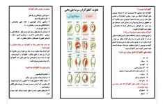 پمفلت آموزشی آنفلوآنزا چیست؟