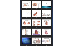 پاورپوینت EKG