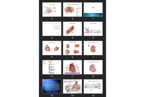 پاورپوینت EKG