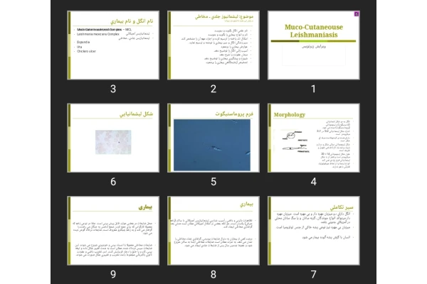 پاورپوینت Muco-Cutaneouse Leishmaniasis