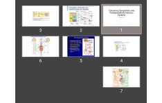 پاورپوینت Comparing Sympathetic and Parasympathetic Nervous Systems