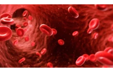   پاورپوینت ترمینولوژی دستگاه خون ساز THE HEMATOLOGIC SYSTEM