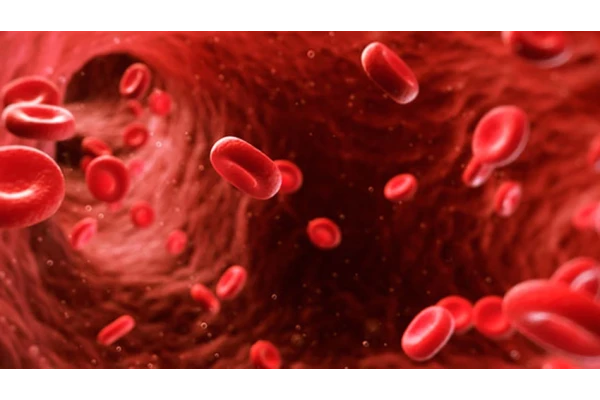   پاورپوینت ترمینولوژی دستگاه خون ساز THE HEMATOLOGIC SYSTEM