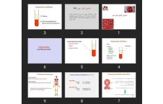 پاورپوینت شمارش گلبول های قرمز