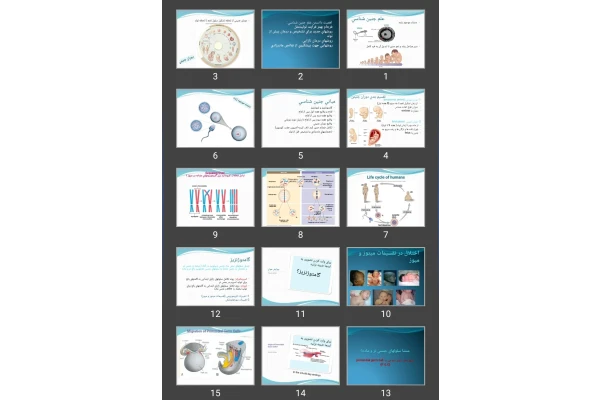 پاورپوینت علم جنين شناسی