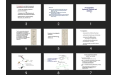 پاورپوینت Prostaglandins:Synthesis, functions and inhibitors
