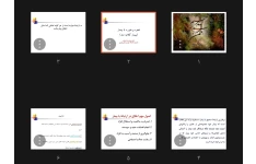 جزوه نحوه برخورد با بیمار (بیمار گلایه مند)