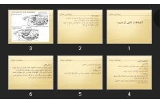 پاورپوینت اختلالات ناشی از ضربه کلیه