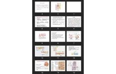 پاورپوینت Endocrine system