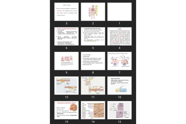 پاورپوینت Endocrine system