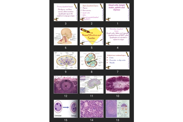 پاورپوینت  Diseases of white blood cells, lymph nodes ,spleen and thymus