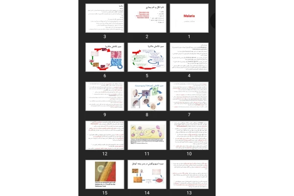 پاورپوینت مالاریا