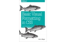 Basic Visual Formatting in CSS: Layout Fundamentals in CSS-کتاب انگلیسی