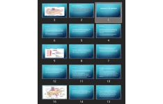 پاورپوینت Diseases of the Pancreas