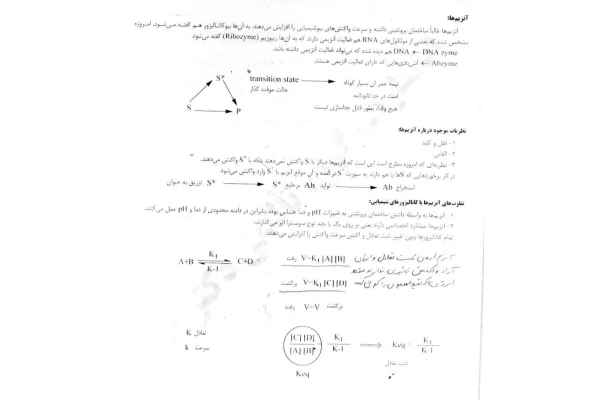 آنزیم ها(جزوه) 🔬 نسخه کامل ✅