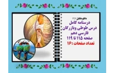 درسنامه کامل درس طوطی وبازرگان فارسی دهم صفحه 115 تا 119