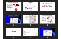 پاورپوینت Red Blood Cell (RBC) Count(شمارش گلبول قرمز)