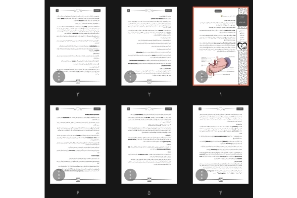 جزوه بیماری‌های معده و دئودنوم