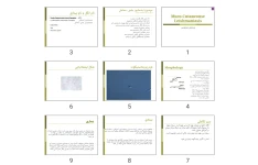 پاورپوینت Muco-Cutaneouse Leishmaniasis
