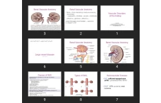 پاورپوینت Vascular Disorders of the Kidney