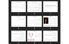 پاورپوینت اصول تكنيک های ايمونوشيميايی