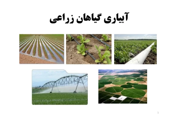 📝جزوه: آبیاری گیاهان زراعی          🖊استاد: بشیرنیا          🏛 دانشگاه آزاد                (نسخه کامل)✅
