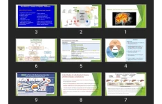پاورپوینت Metabolic Dysfunction–Associated Steatotic Liver Disease