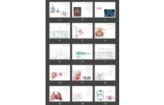 پاورپوینت فیزیولوژی تنفس (Respiratory Physiology)