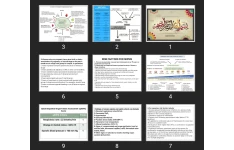 پاورپوینت Sepsis And Septic Shock