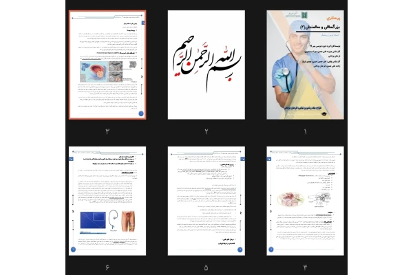 جزوه کامل ژنیتال مردان