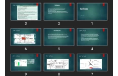 پاورپوینت Epilepsy
