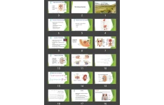 پاورپوینت The Urinary System