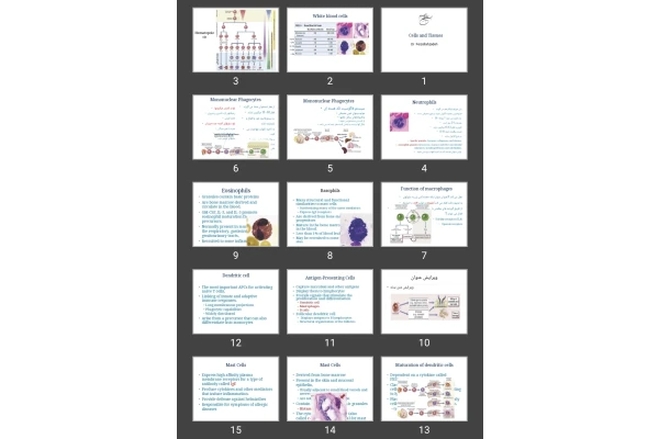 پاورپوینت Cells and Tissues