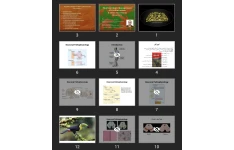 پاورپوینت Pharmacologic Management of Parkinsonism & Other Movement Disorders