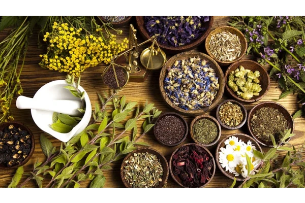   پاورپوینت کاربرد گیاهان دارویی