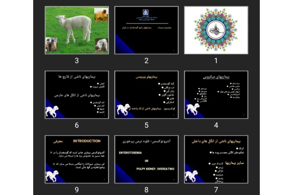 پاورپوینت بیماری های رایج گوسفندان در ایران