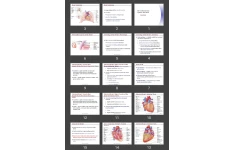 پاورپوینت The Cardiovascular System: The Heart Anatomy