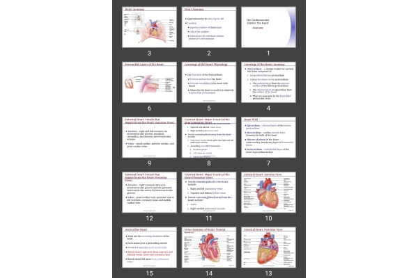 پاورپوینت The Cardiovascular System: The Heart Anatomy