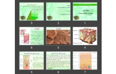 پاورپوینت مروری بر عملکرد پوست