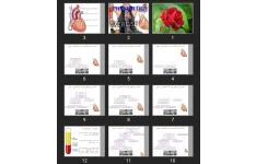 پاورپوینت قلب و ورزش