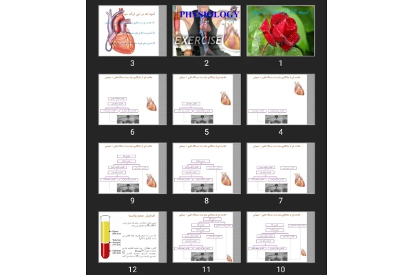 پاورپوینت قلب و ورزش