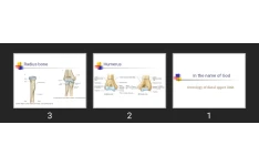 پاورپوینت Osteology of distal upper limb