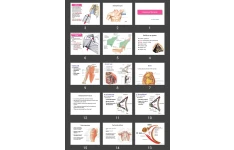 پاورپوینت Anatomy of the Axilla