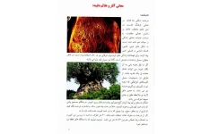   کتاب مرجع اسرار و نشانه ها صفحات کامل ورنگی