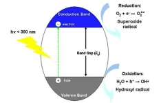 تخریب نوری: مبانی و کاربردها, Photodegradation: Fundamentals and Applications