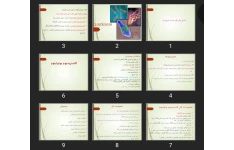 پاورپوینت باسیل های گرم مثبت اسپوردار