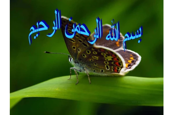 (نسخه کامل)✅           📝جزوه: آموزش نرم افزار DS