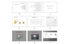 پاورپوینت تک ياخته شناسی پزشكی آميب ها